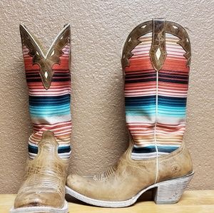 ariat circuit cheyenne